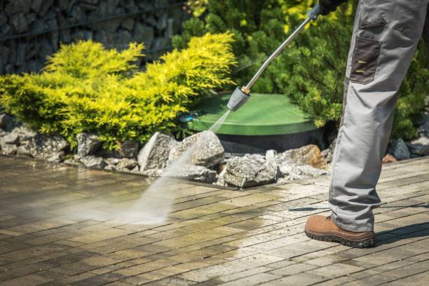 Best Roof Washing  in Rural Retreat, VA